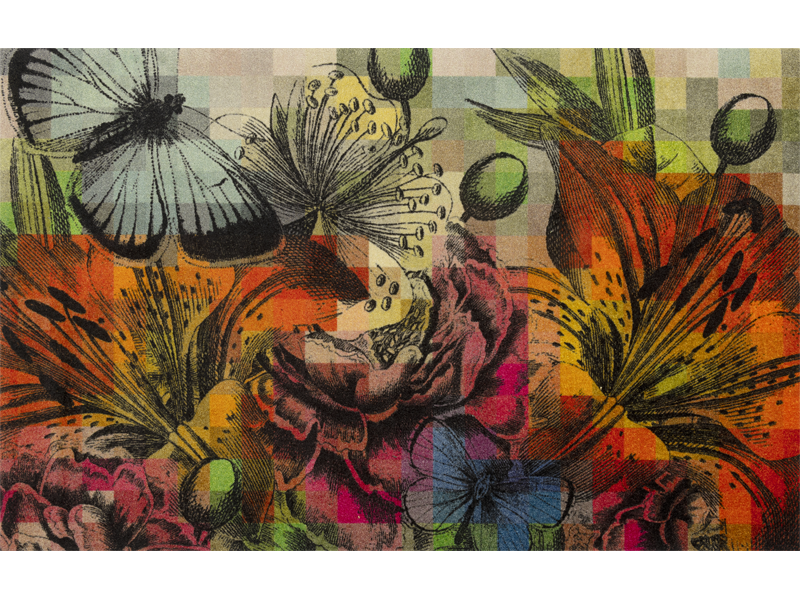 Magic Garden wash + dry Matte