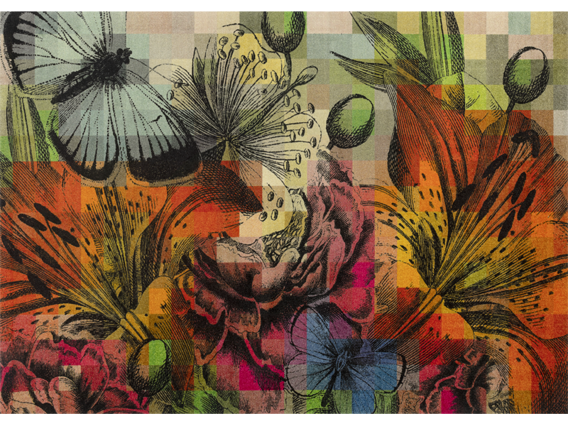 Magic Garden wash + dry Matte