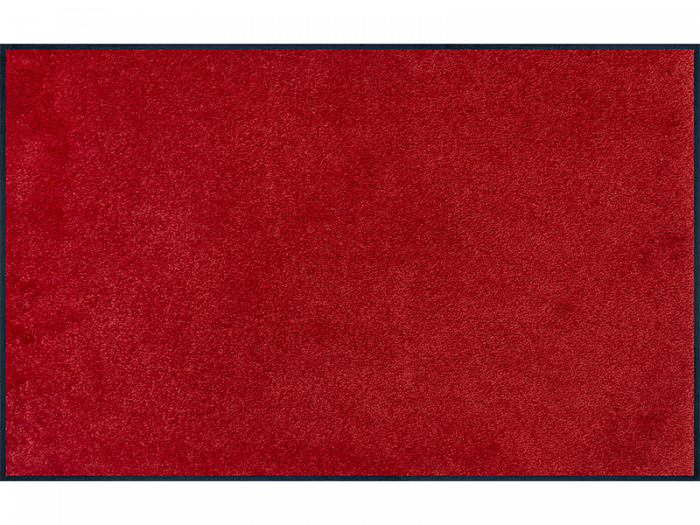 Monocolour Regal Red wash + dry Matte