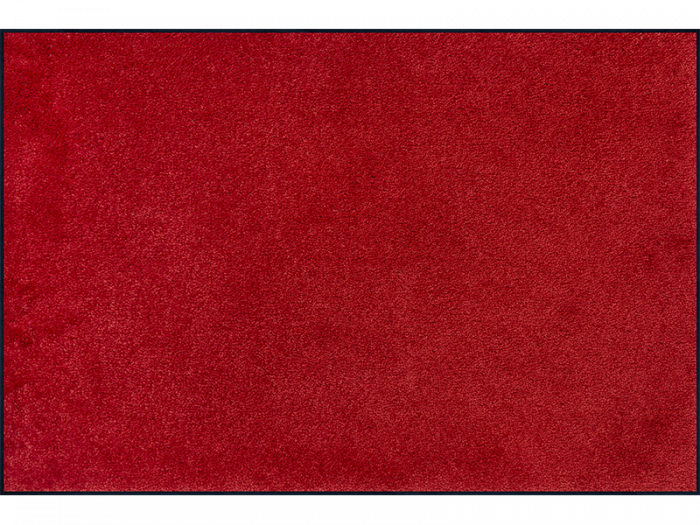 Monocolour Regal Red wash + dry Matte