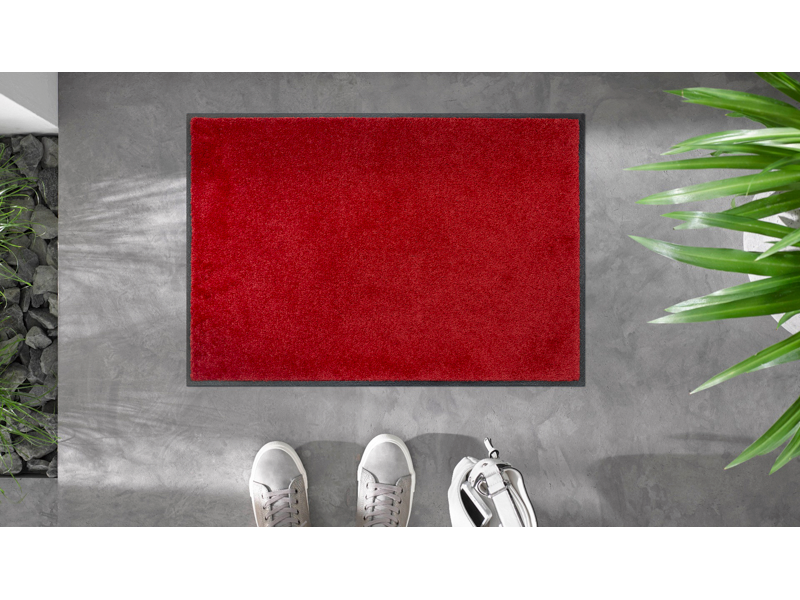 Monocolour Regal Red wash + dry Matte