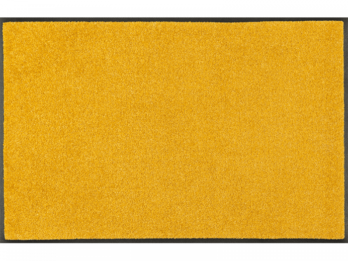 Trendcolour Honey Gold wash + dry Matte