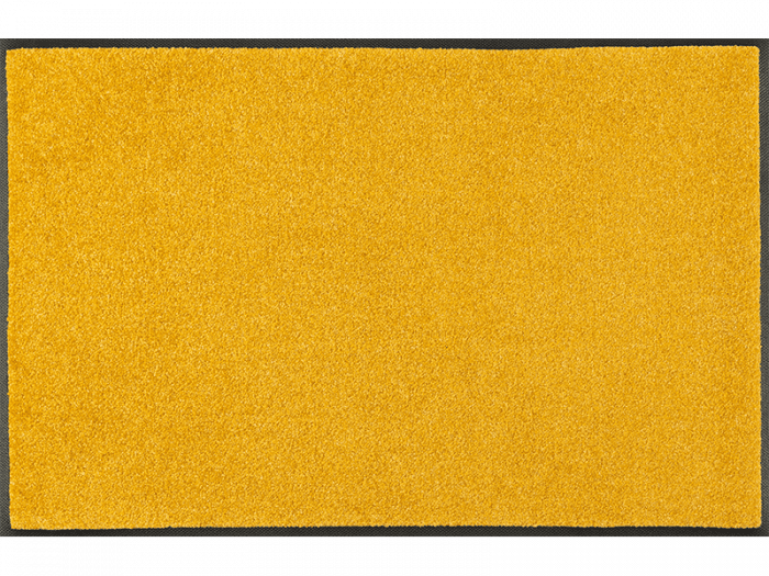 Trendcolour Honey Gold wash + dry Matte