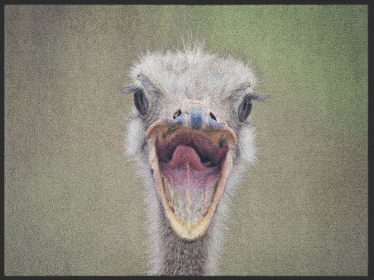 Fussmatte Strauß 4974