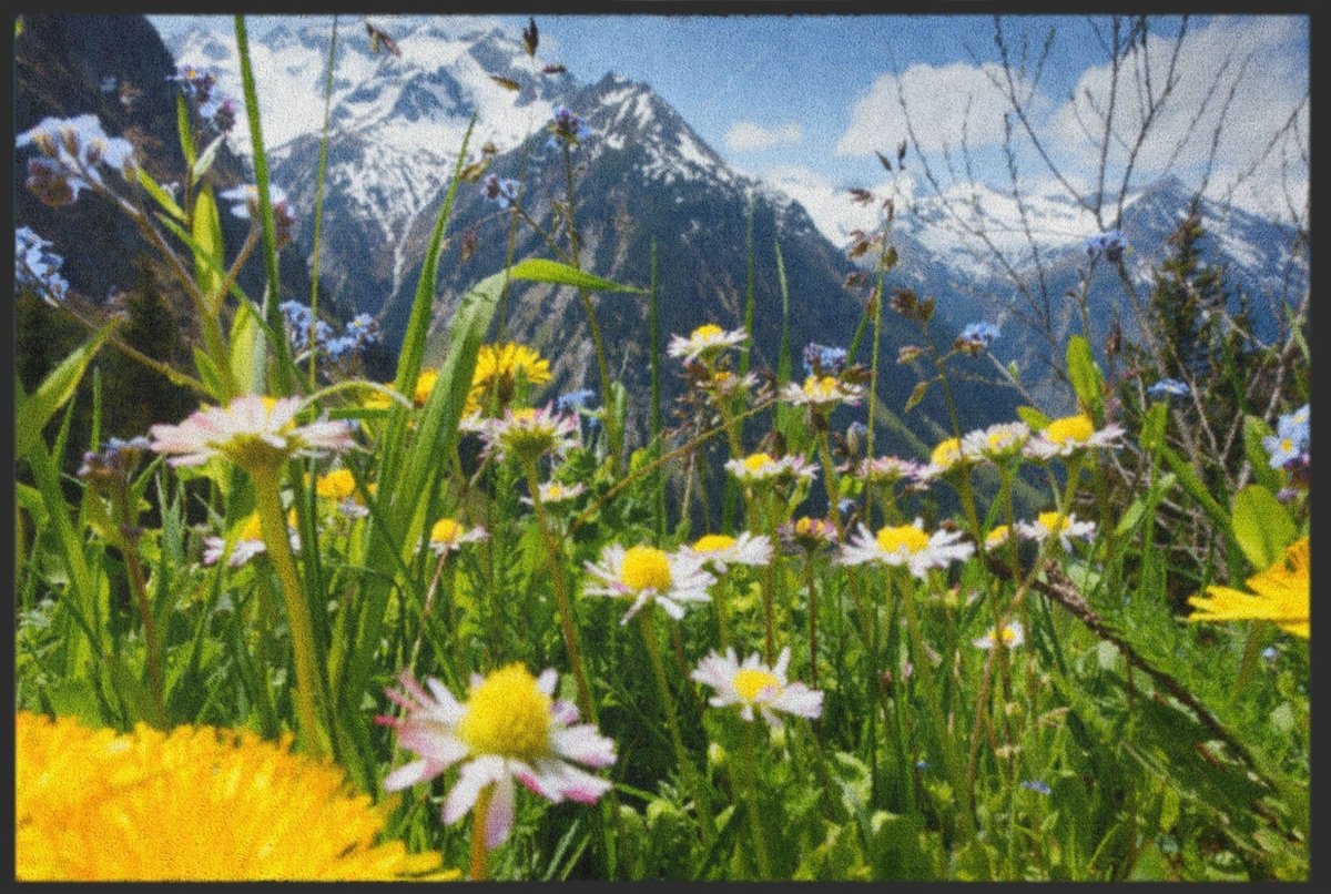 Fussmatte Almwiese 4569