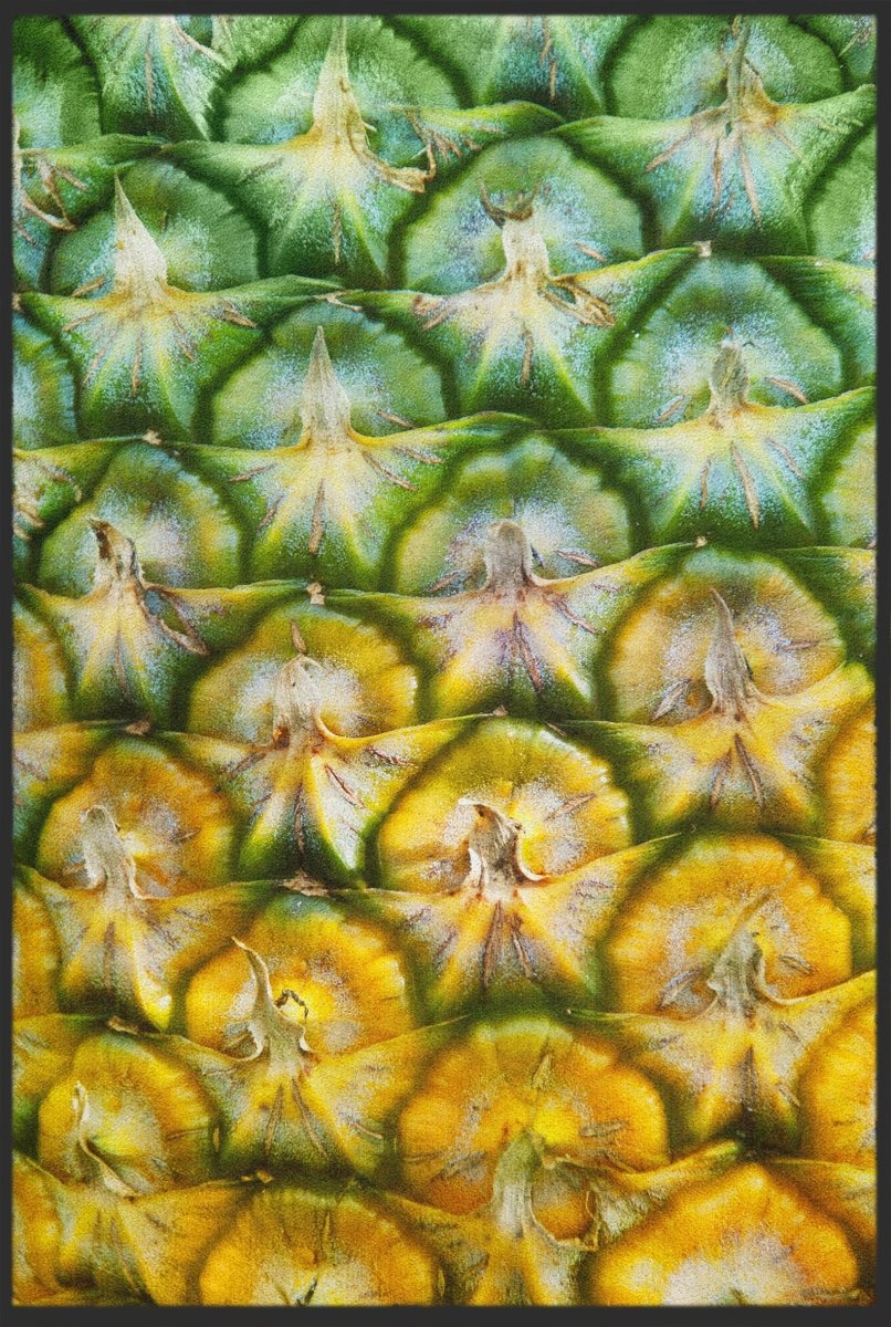 Fussmatte Ananas 10205