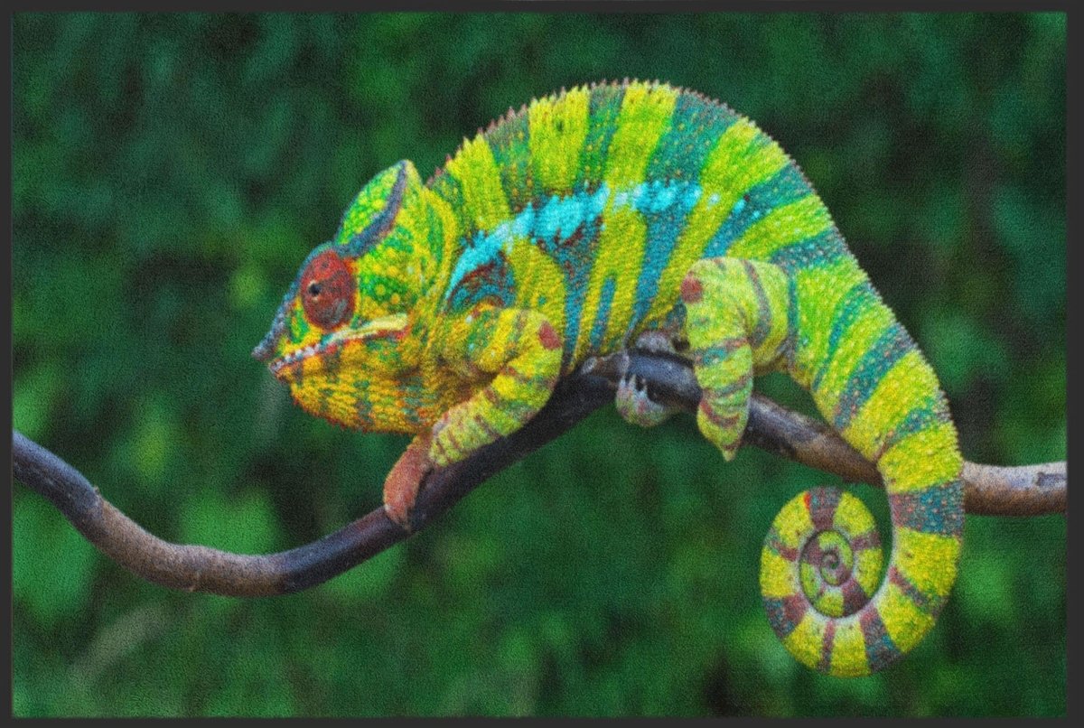 Fussmatte Chamäleon 4538