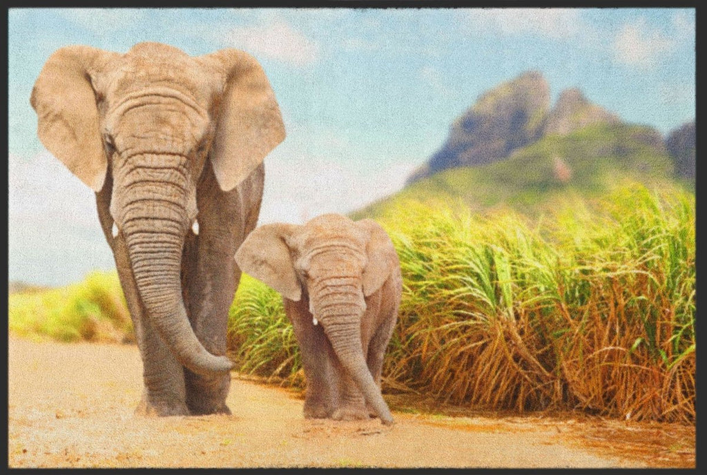 Fussmatte Elefanten 6107 - Fussmattenwelt