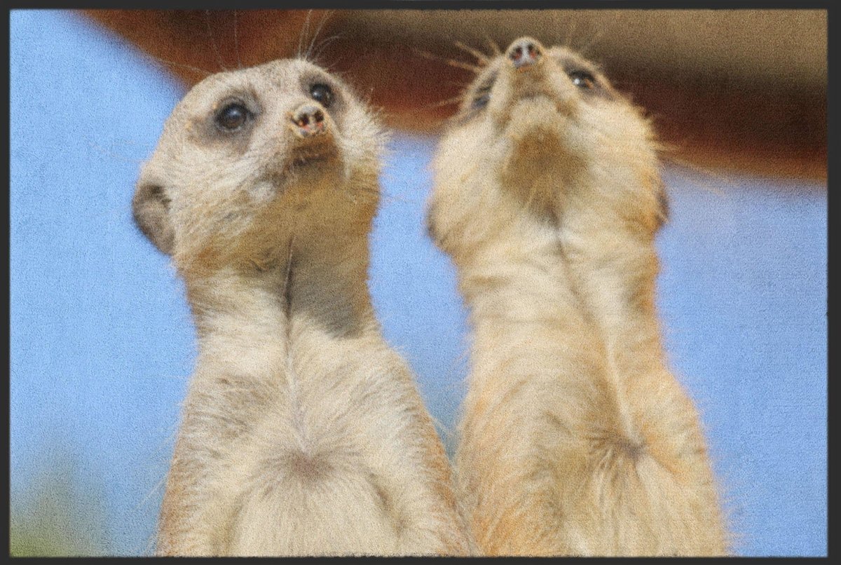 Fussmatte Erdmännchen 4515