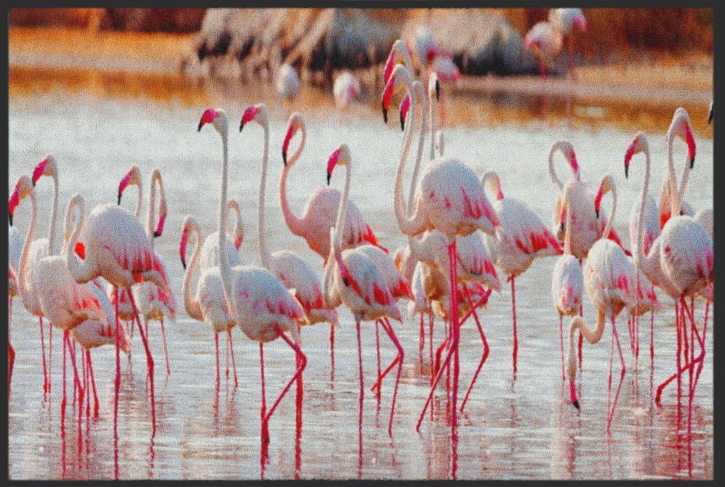 Fussmatte Flamingo 4821 - Fussmattenwelt