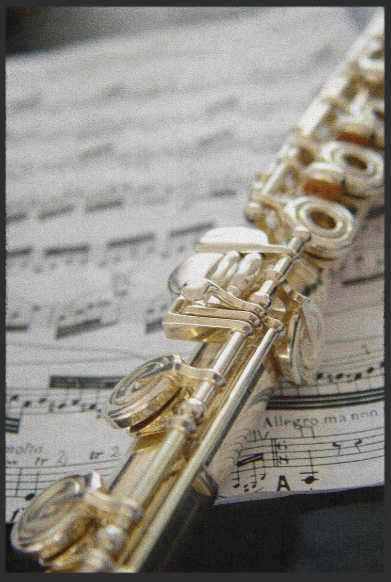 Fussmatte Flöte 10002