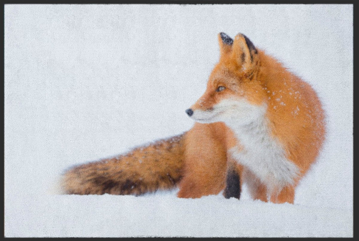 Fussmatte Fuchs 6086