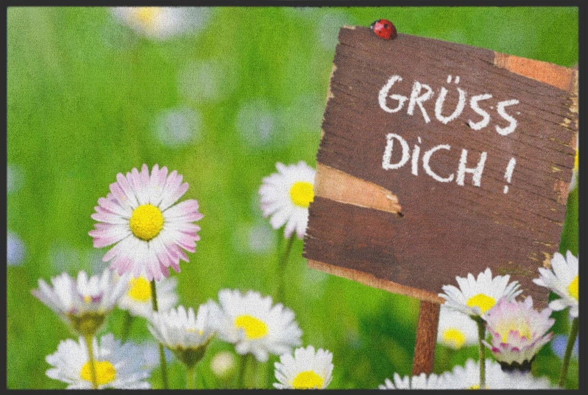 Fussmatte Grüss Dich 4739