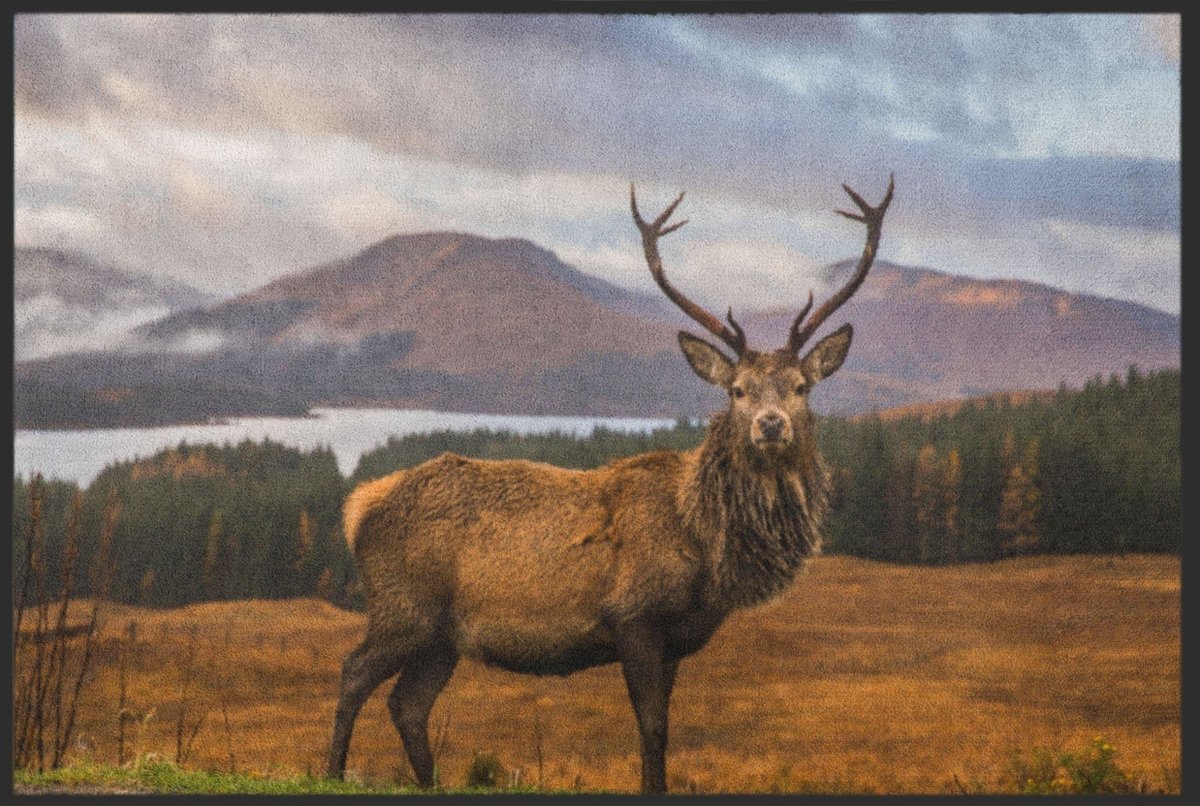 Fussmatte Hirsch 4522