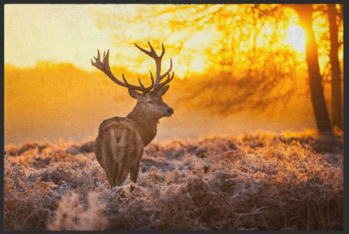 Fussmatte Hirsch 6059