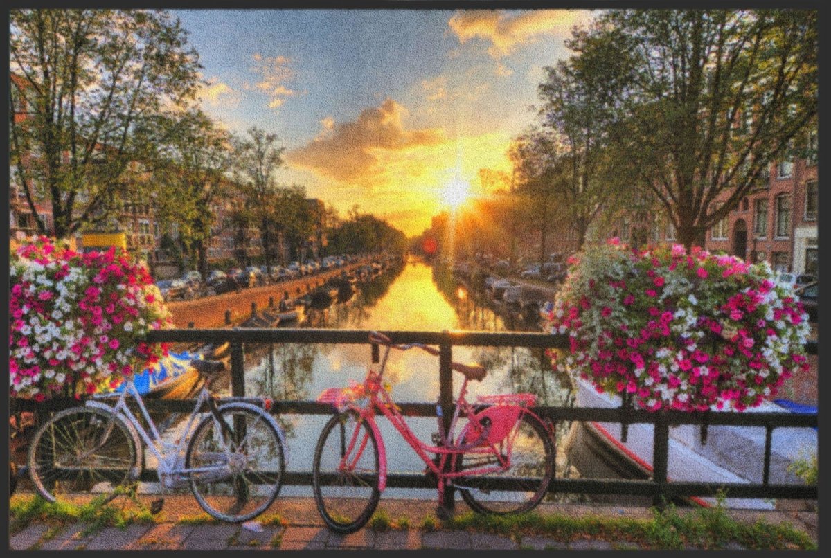 Fussmatte Holland 4476