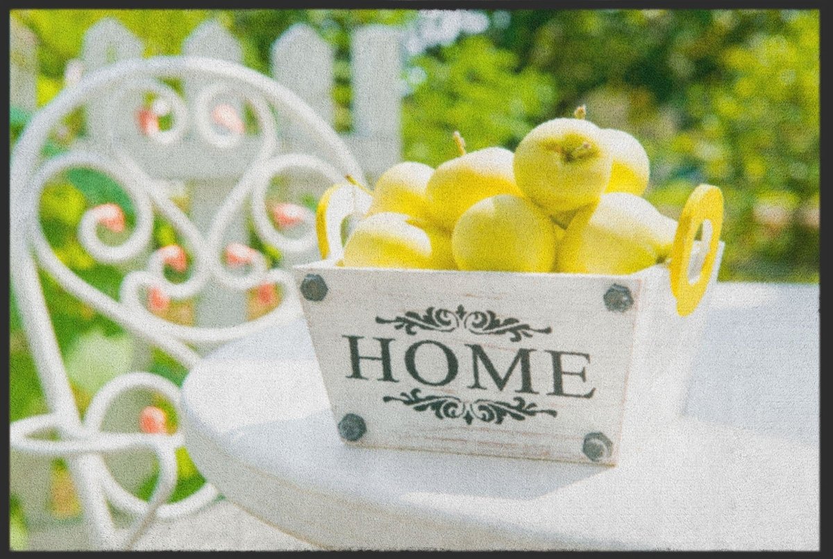 Fussmatte Home Garten 4235