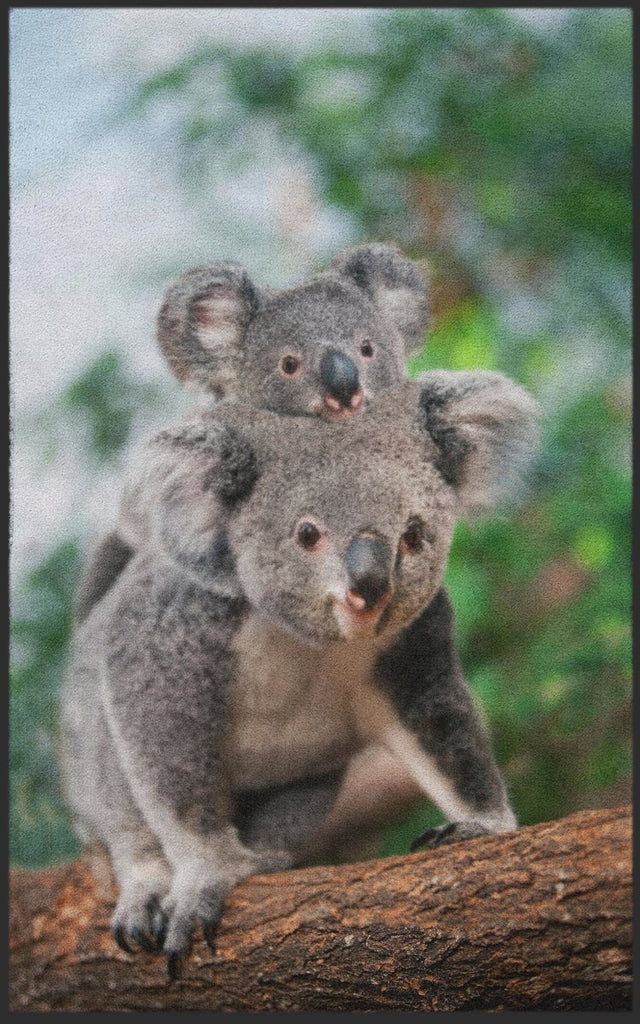 Fussmatte Koala 7629 - Fussmattenwelt