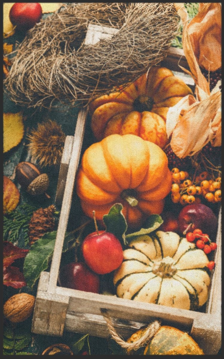 Fussmatte Kürbis 7304