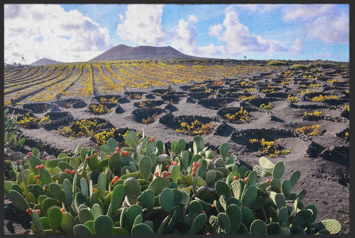 Fussmatte Lanzarote 10368
