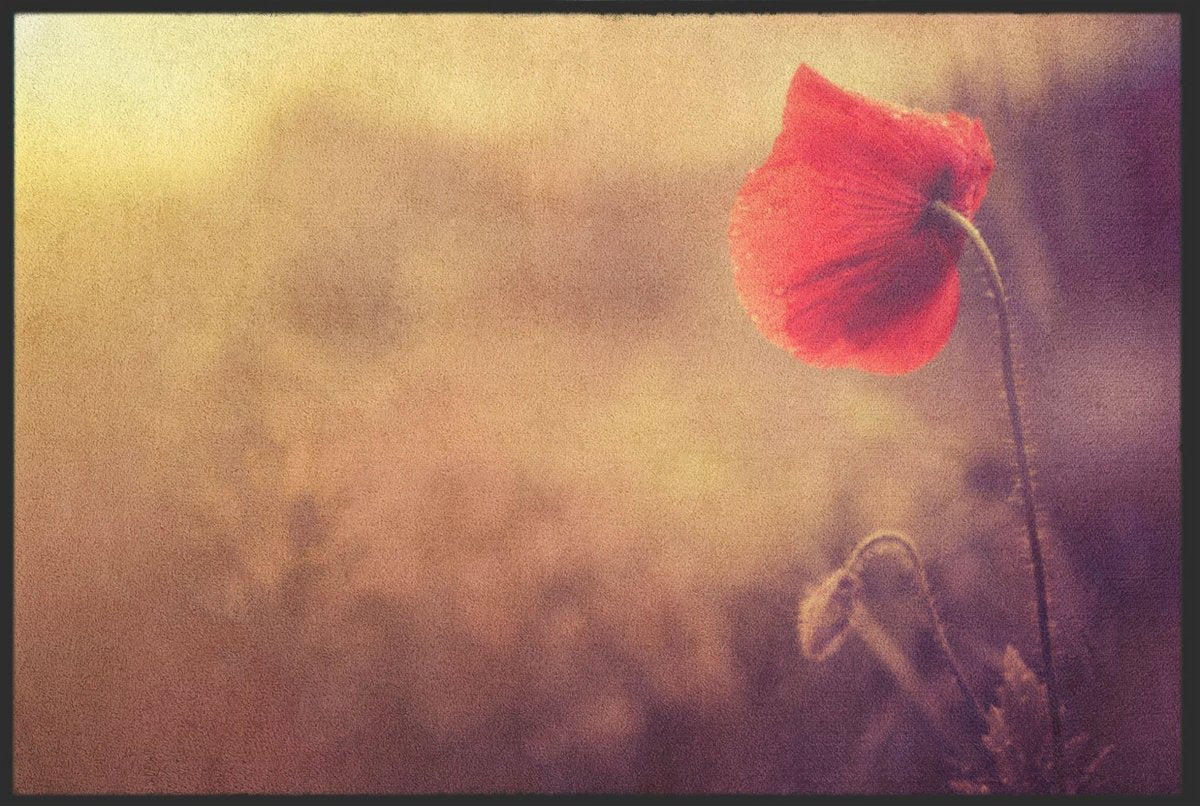 Fussmatte Mohn 6372