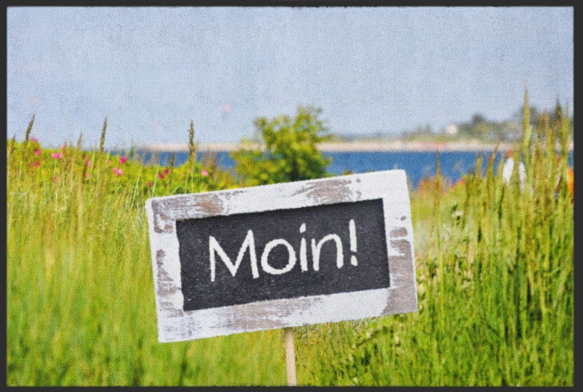 Fussmatte Moin 4759