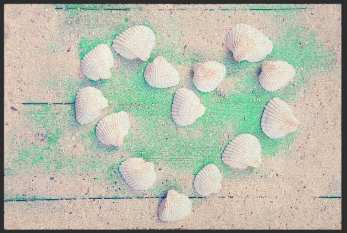 Fussmatte Muscheln 10151