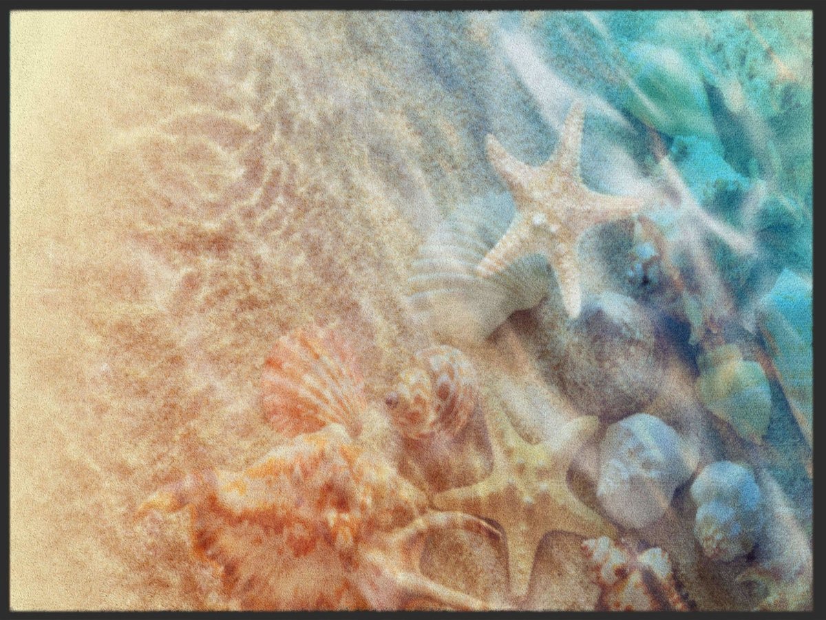 Fussmatte Muscheln 4988