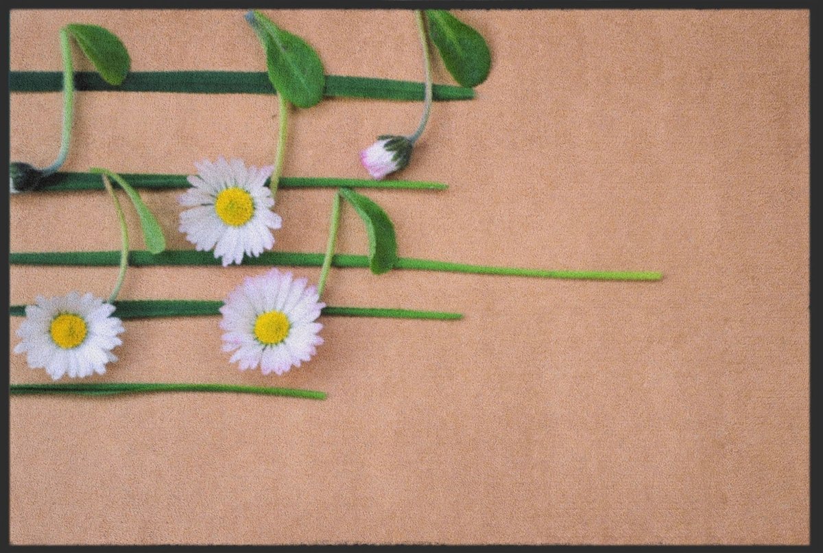 Fussmatte Musik 6142