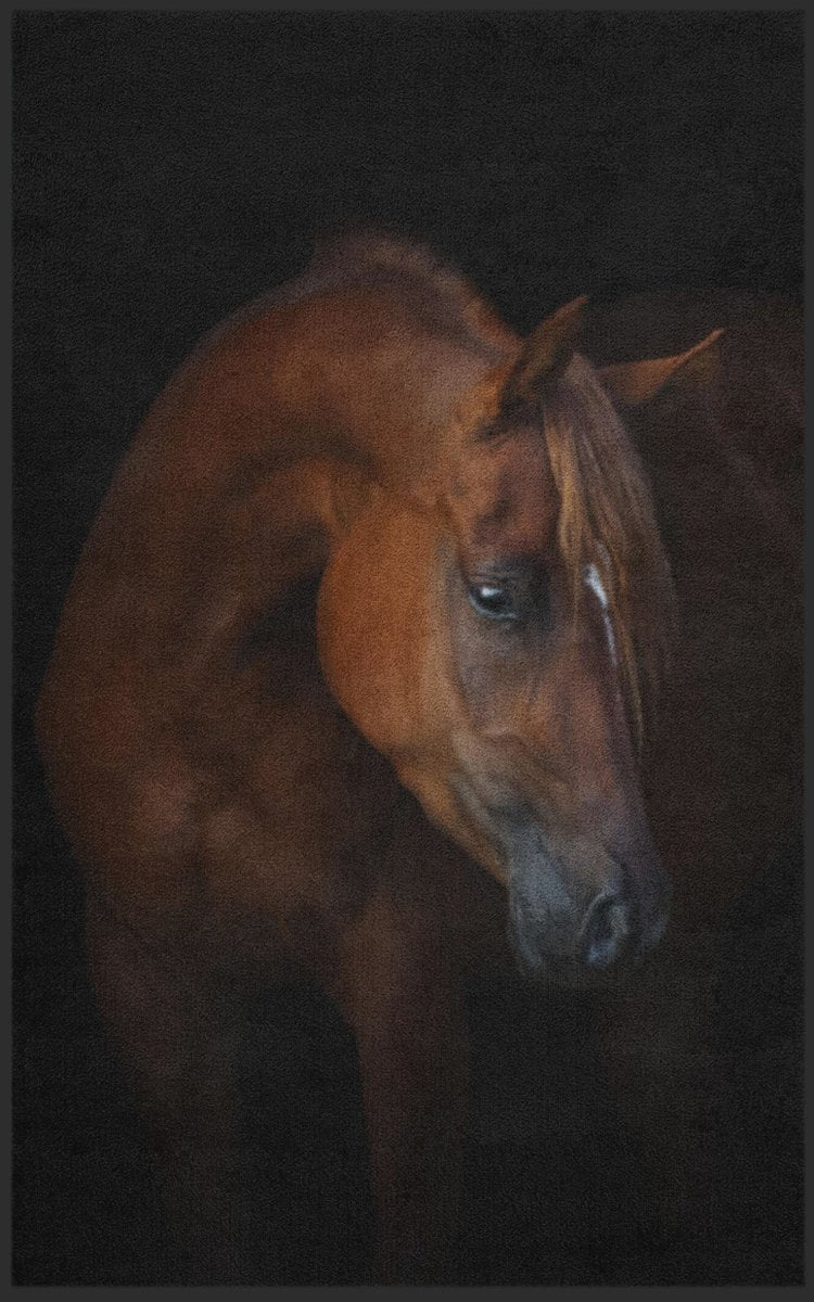 Fussmatte Pferd 7288