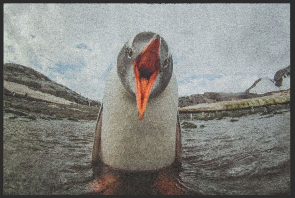 Fussmatte Pinguin 4810 - Fussmattenwelt