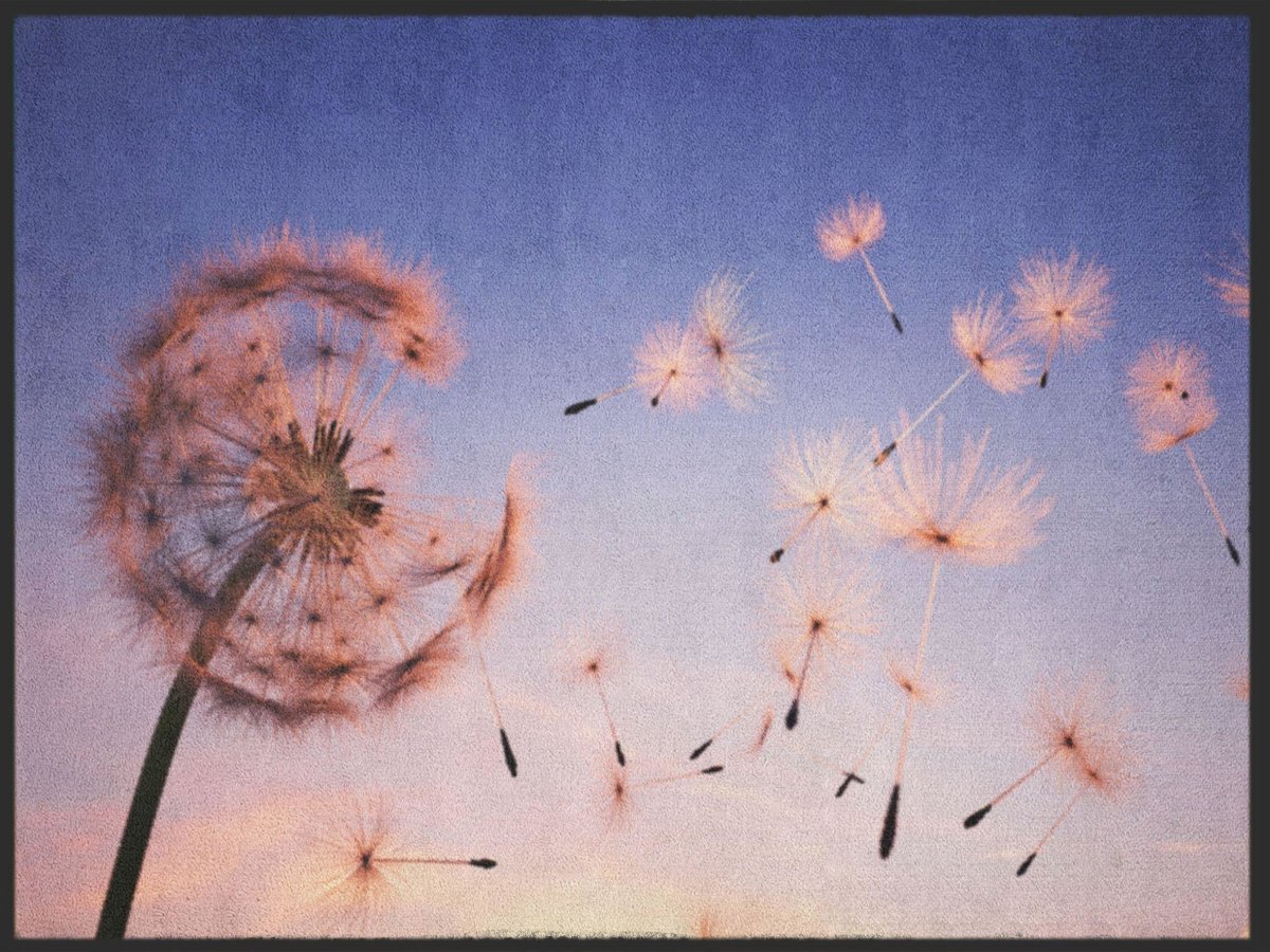 Fussmatte Pusteblume 4993
