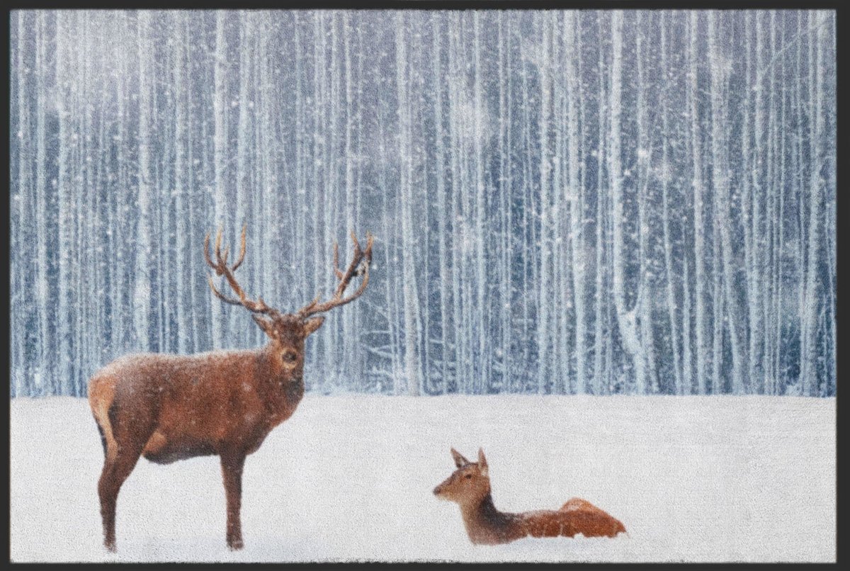 Fussmatte Reh und Kitz 4811