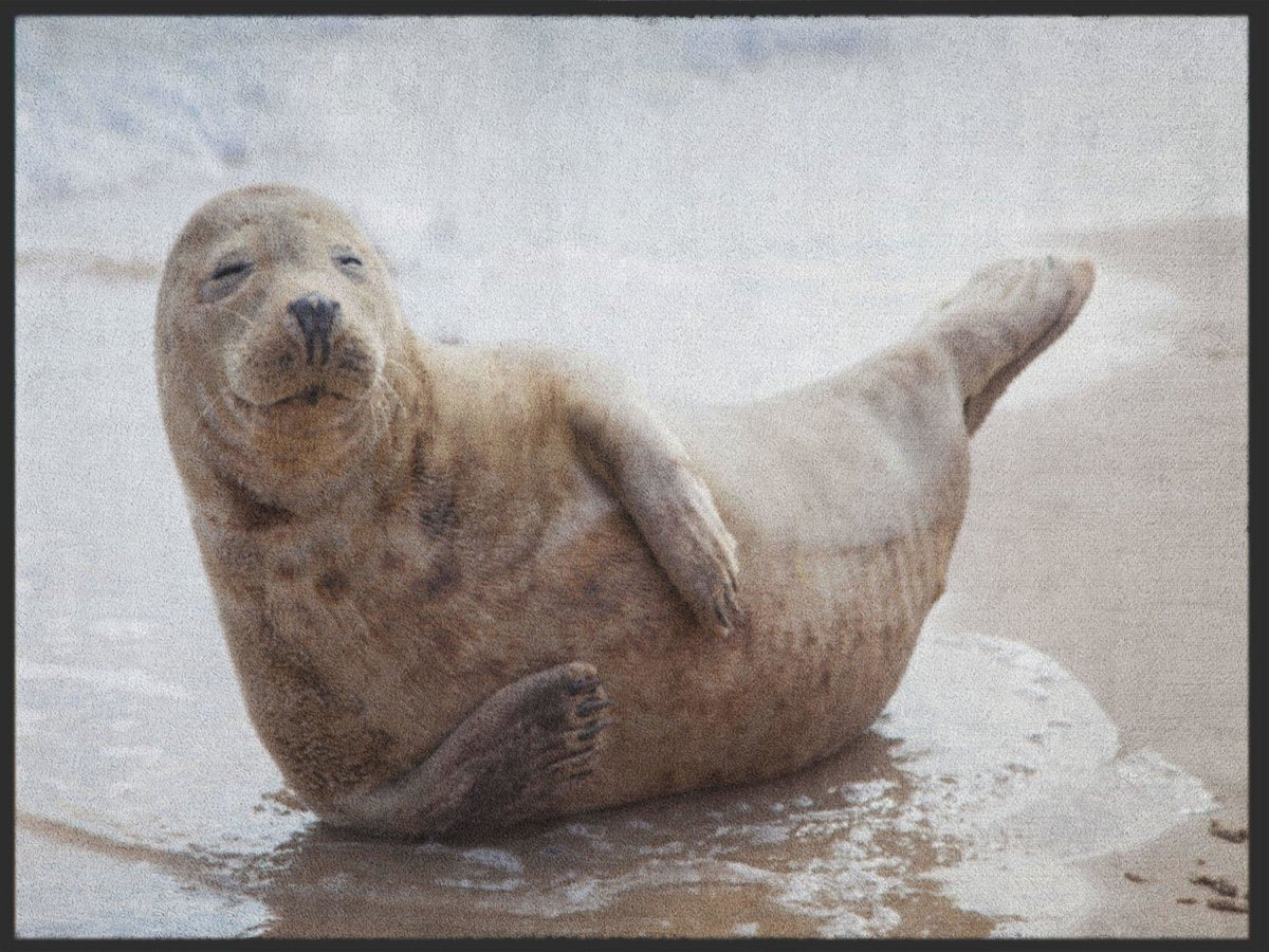 Fussmatte Robbe 4892