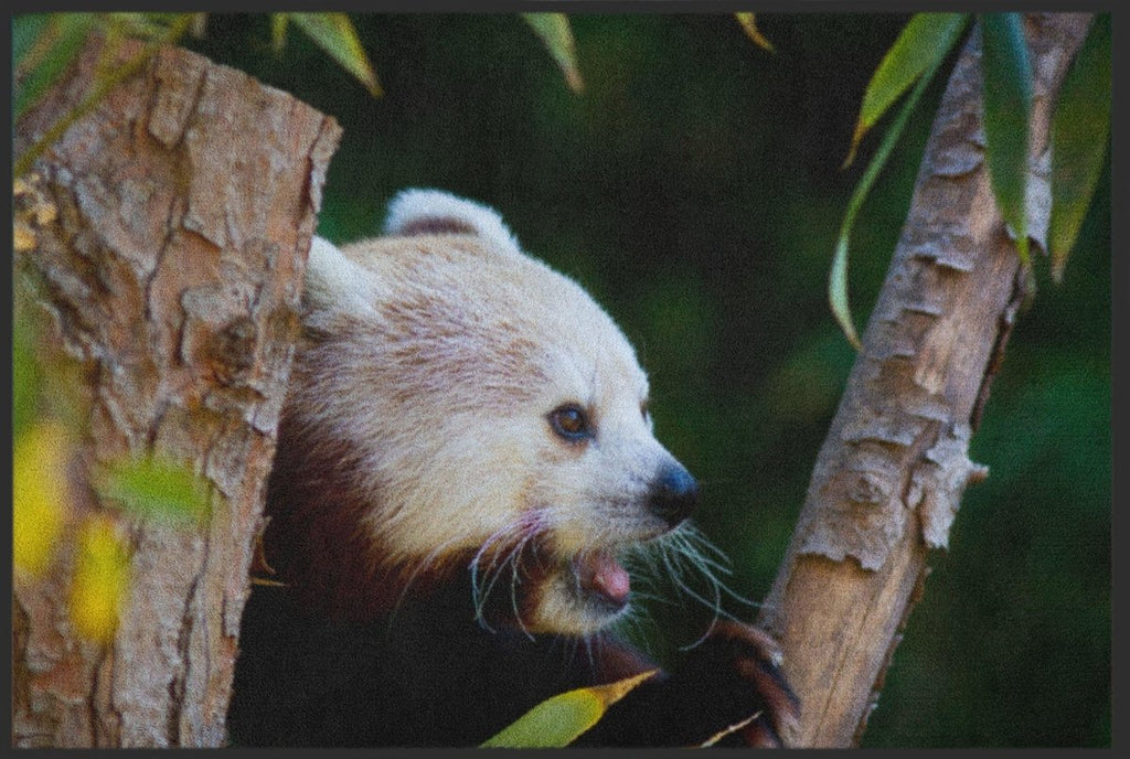 Fussmatte Roter Panda 6260 - Fussmattenwelt