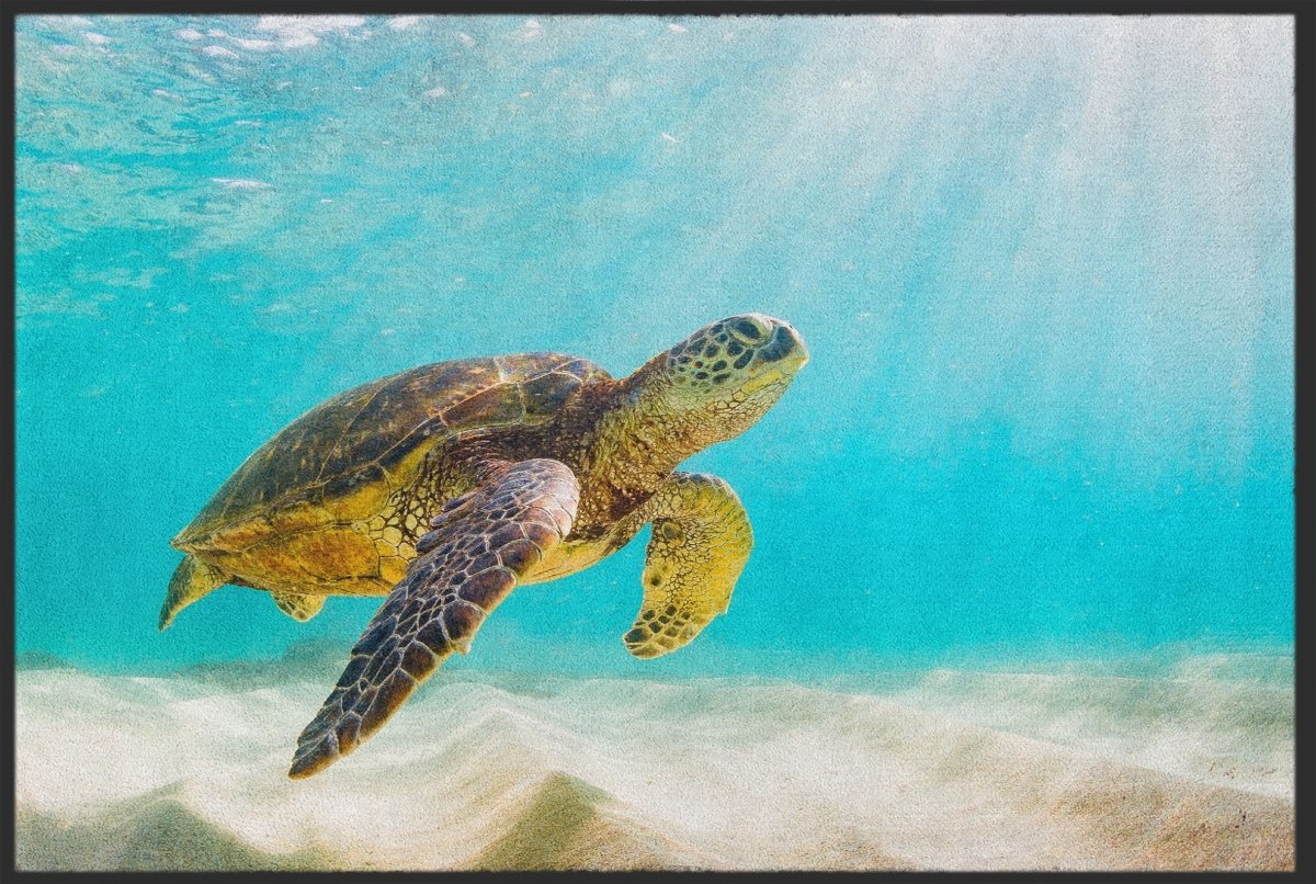 Fussmatte Schildkröte 10473