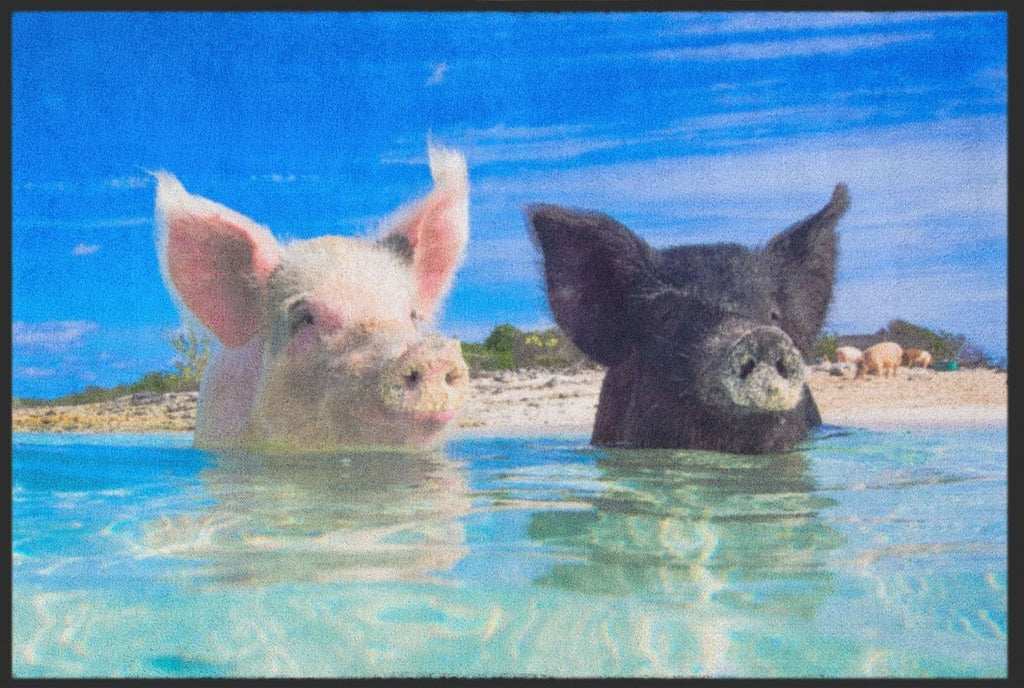 Fussmatte Schweine Bahamas 4530 - Fussmattenwelt