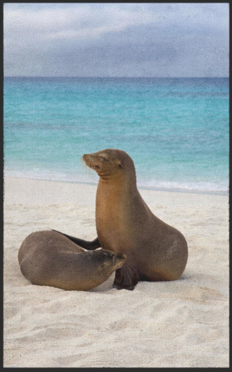 Fussmatte Seelöwe 7796