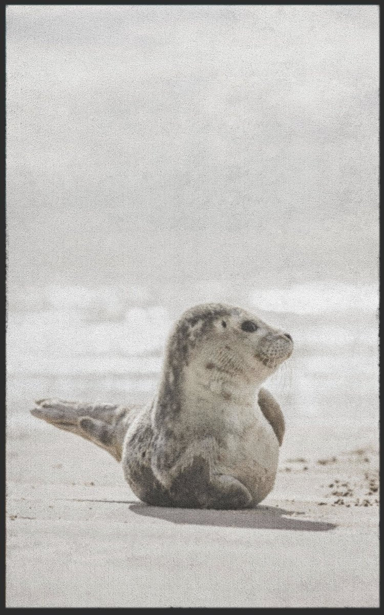 Fussmatte Seerobbe 7091