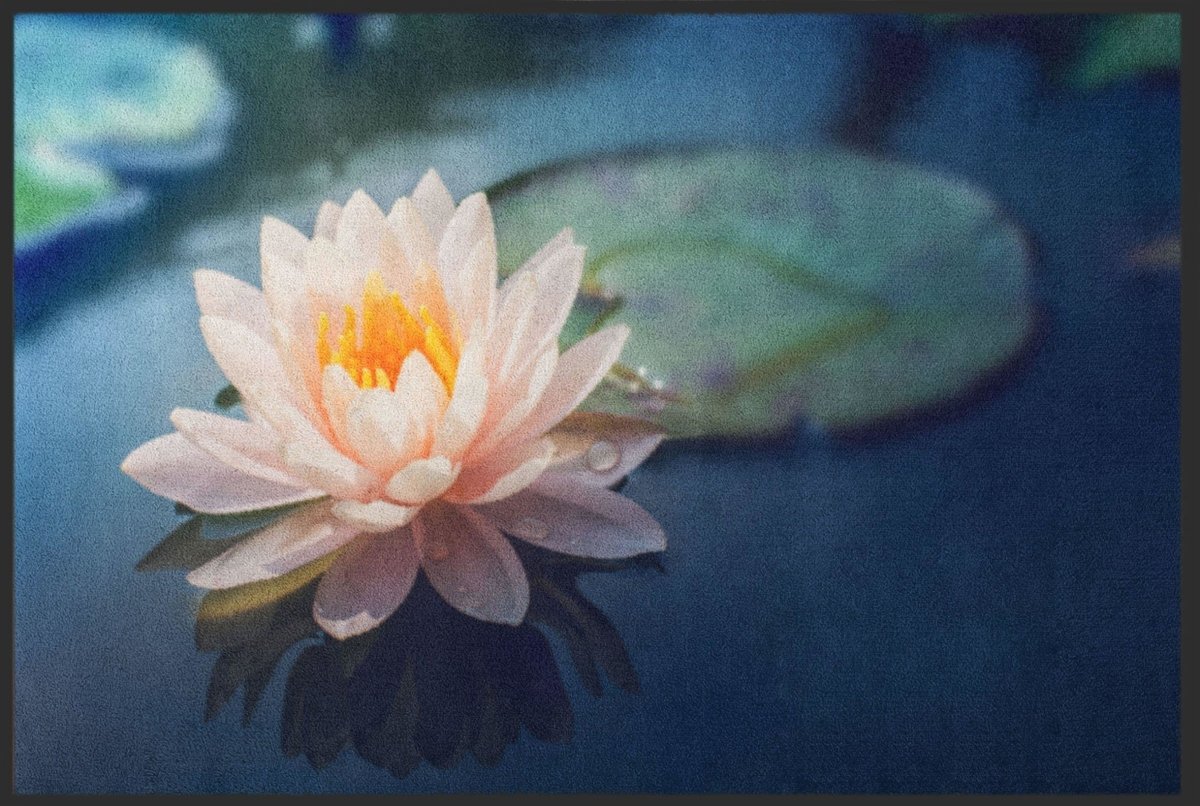 Fussmatte Seerose 4593