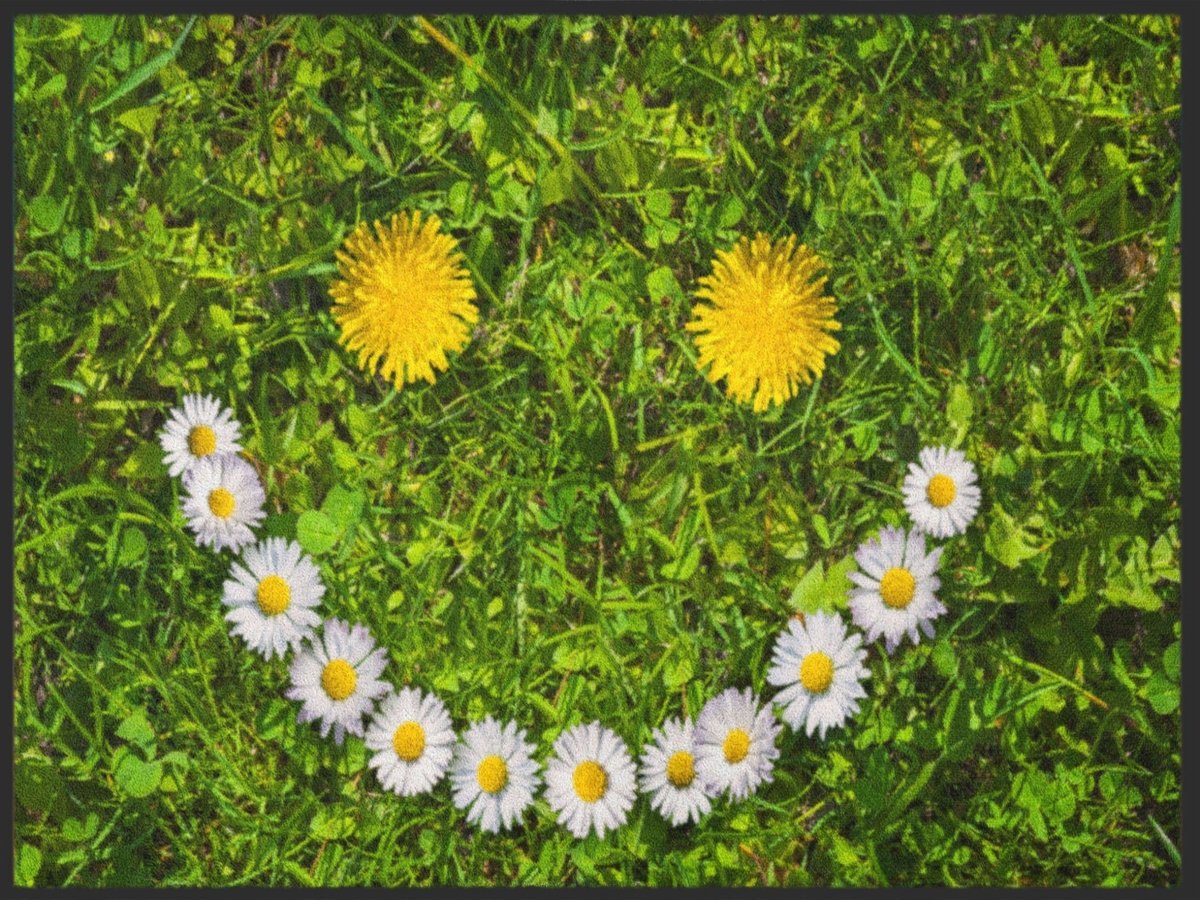 Fussmatte Smile 4969