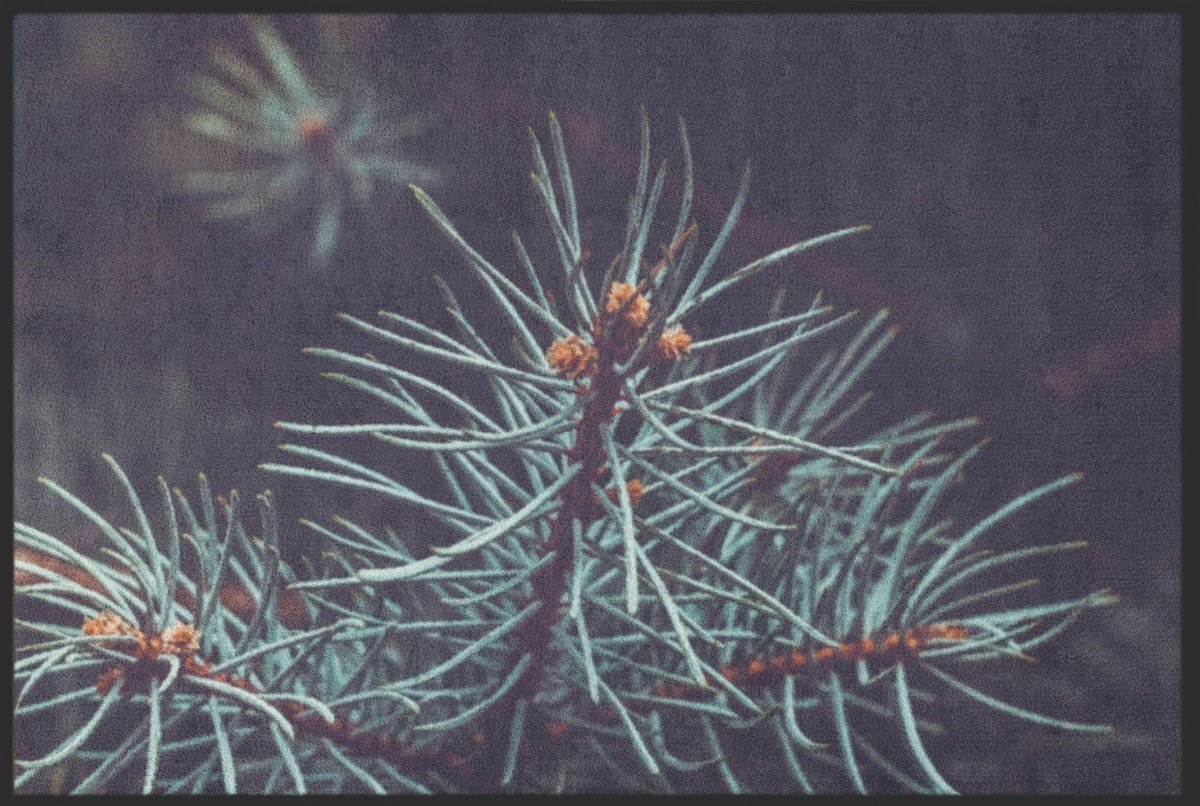 Fussmatte Tanne 6249