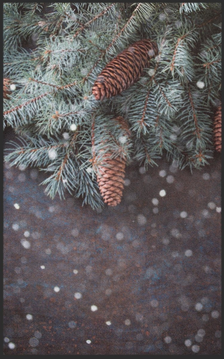 Fussmatte Tanne 7201