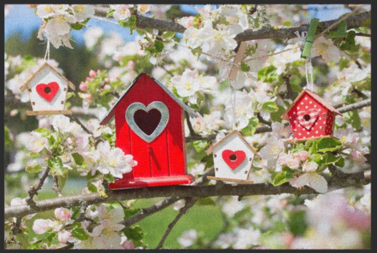 Fussmatte Vogelhäuschen 4301