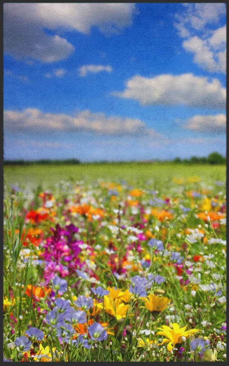 Fussmatte Wiese 7108