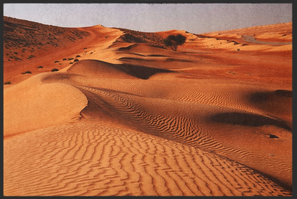 Fussmatte Wüste 10417 - Fussmattenwelt