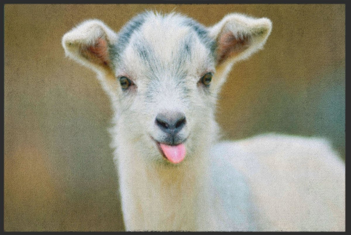 Fussmatte Zicklein 4808