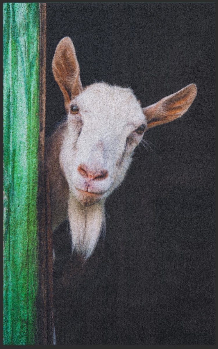 Fussmatte Ziege 7149