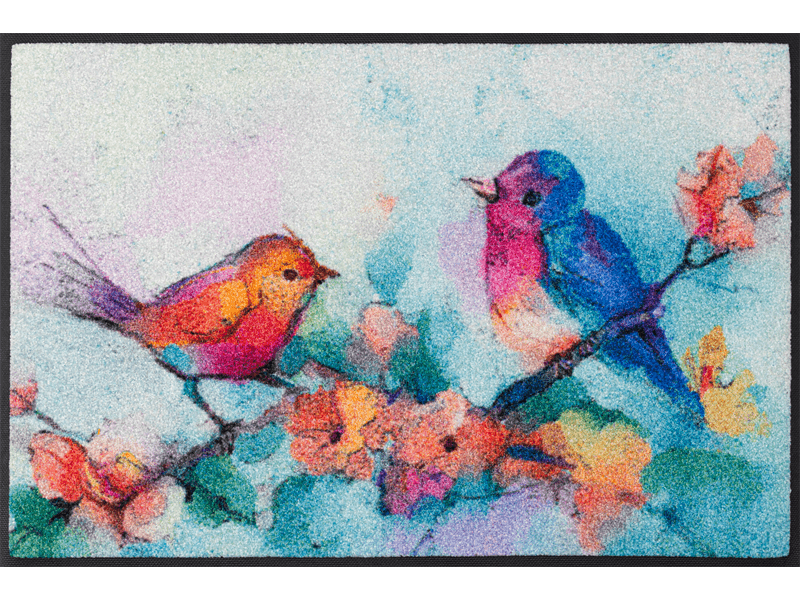 Birdorama wash + dry Fußmatte