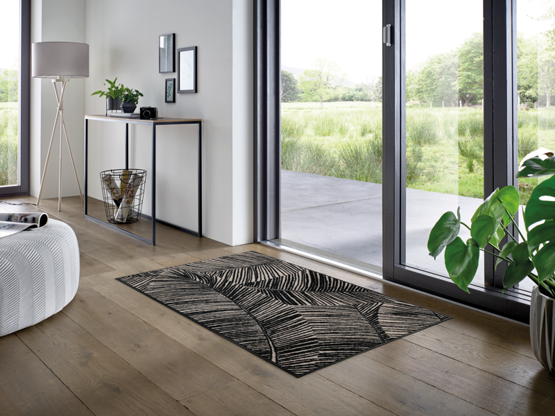 Fernetic wash + dry Matte